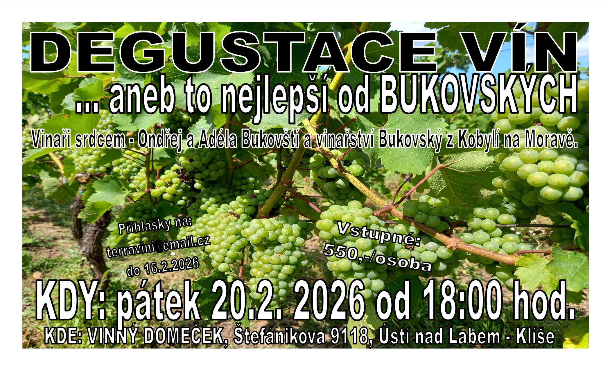 Pozvánka na degustaci vín od Bukovských - 20.2.2026